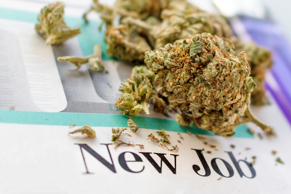Hot Cannabis Careers for 2020