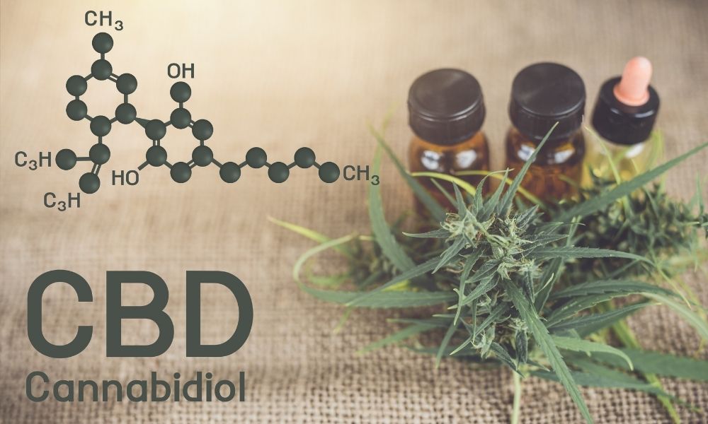 CBD Levels That Deliver Relief